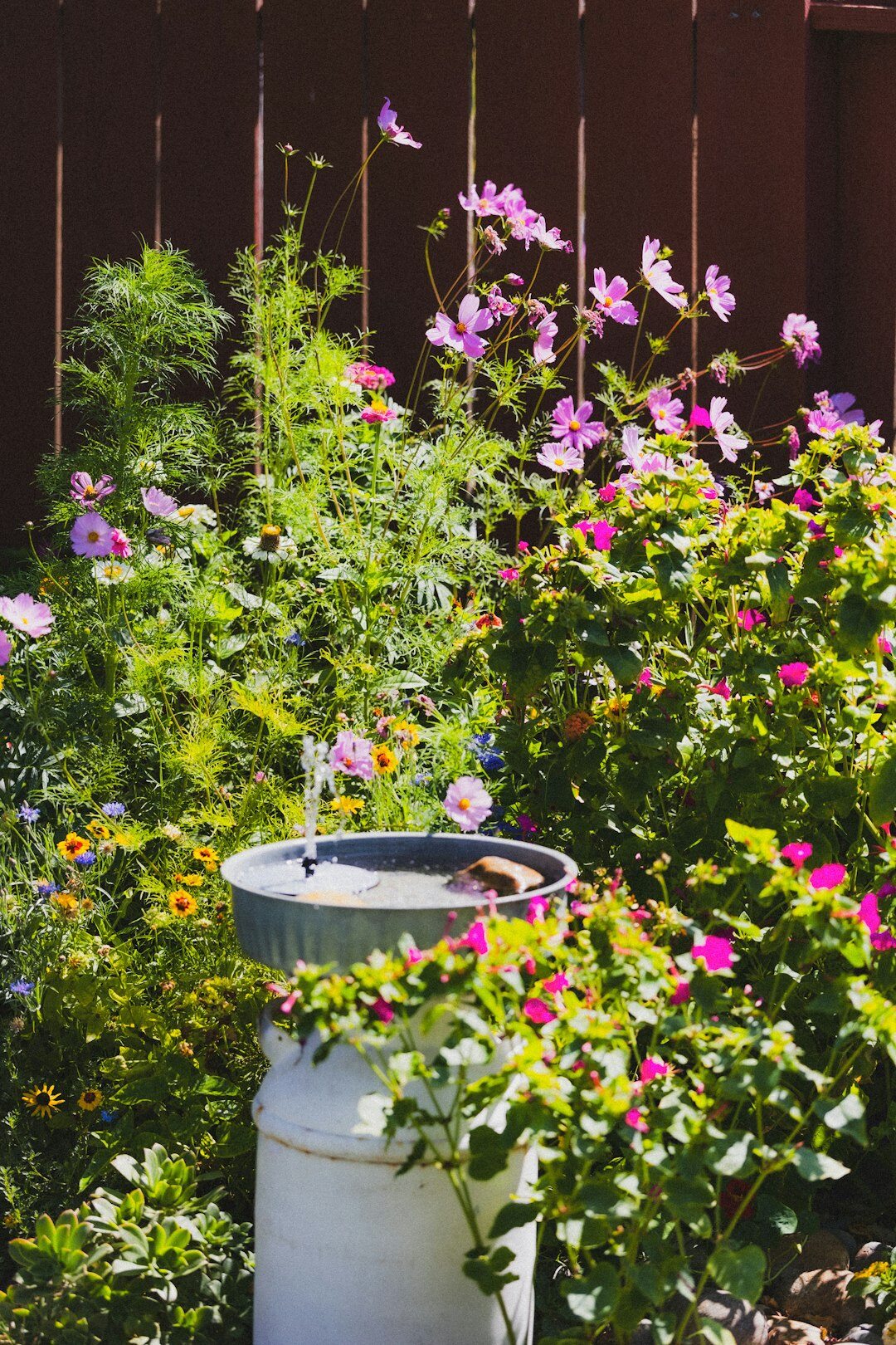 rain barrel in garden