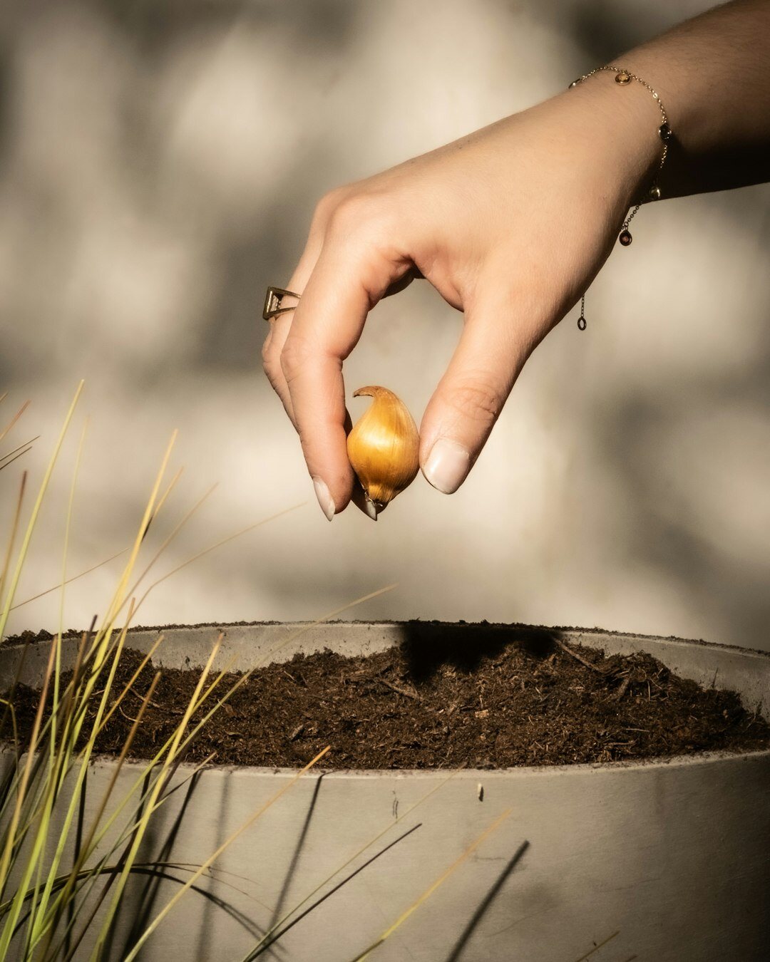 person planting seeds in soil