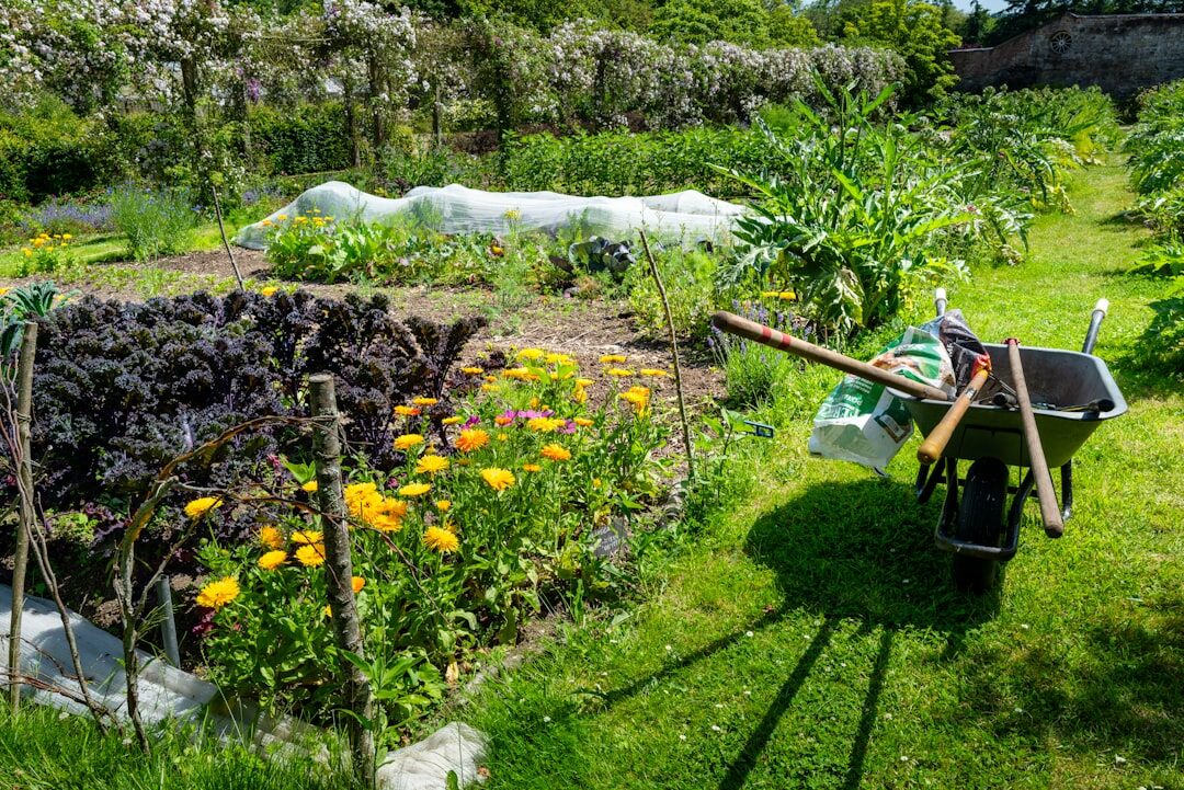garden planning layout